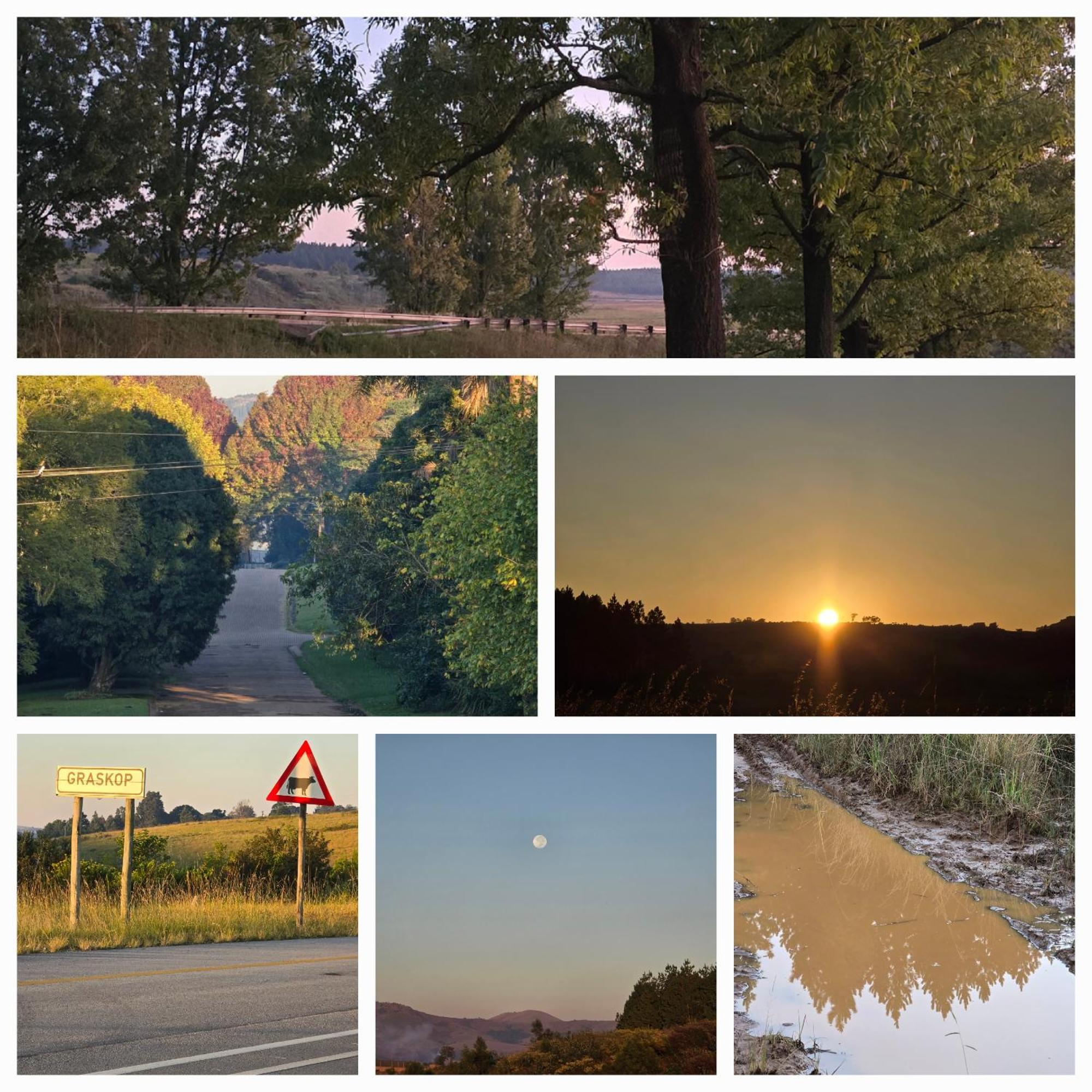 Mosswood Bed & Breakfast Graskop Kültér fotó